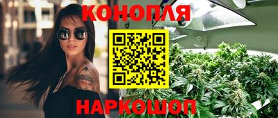 СК Краснодар