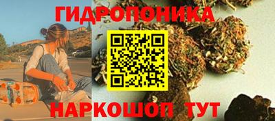 СК Краснодар