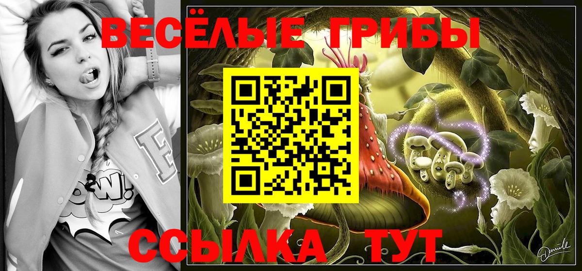 Псилоцибиновые грибы мицелий Владимир